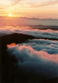 Mt. Asahi- Yamagata Pref.