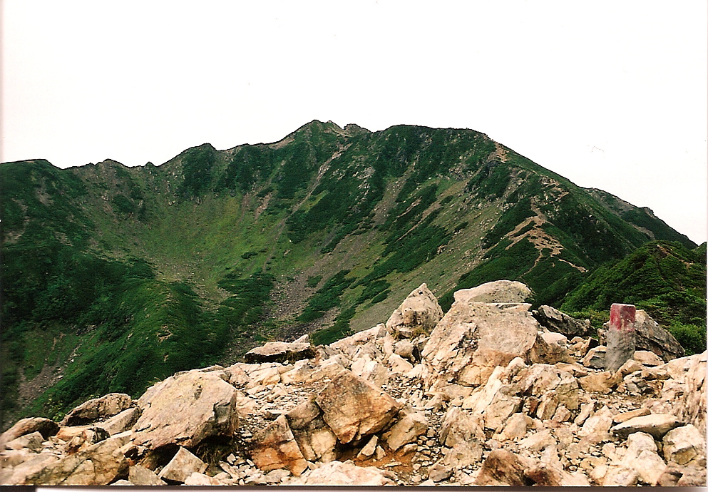 senjo1.jpg?w=584