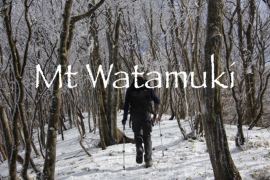 watamuki