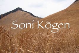 soni kogen