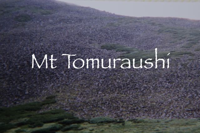 tomuraushi