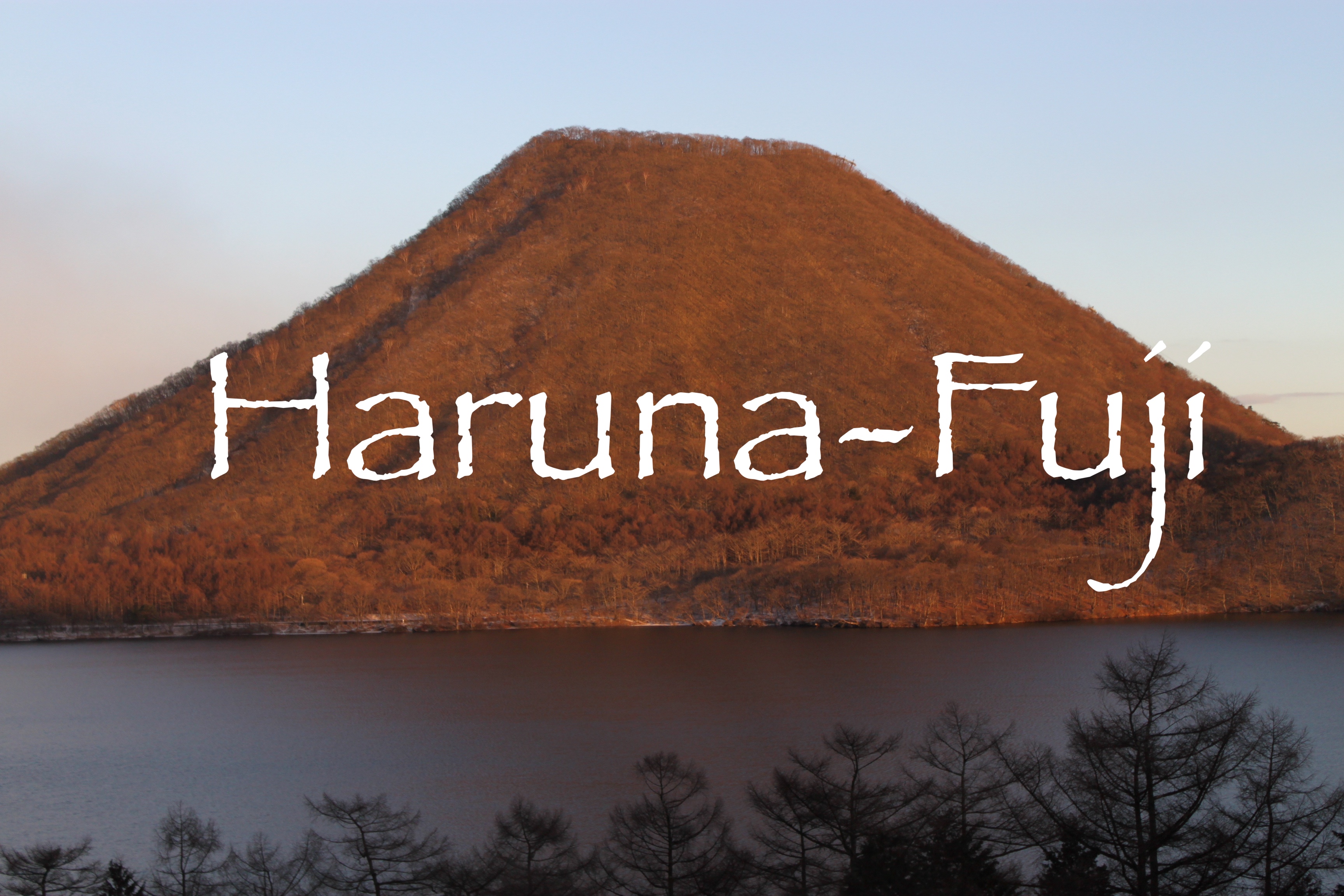 haruna fuji